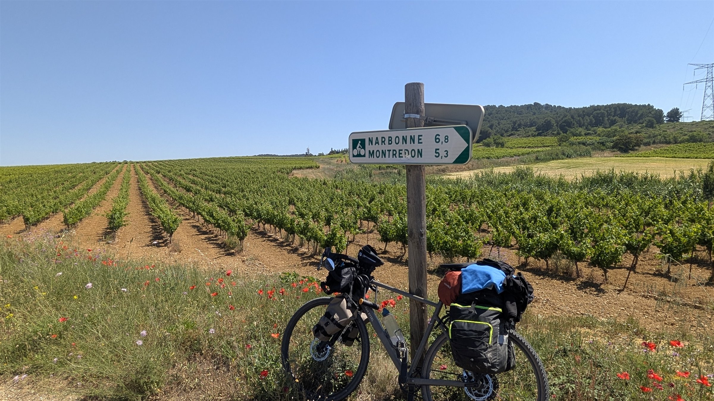 Vélo TourData 2026 dans les vignobles près de Narbonne